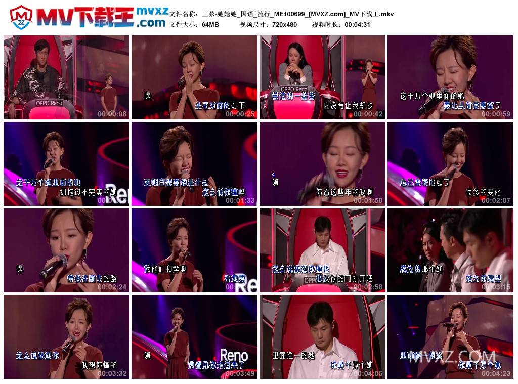 王弦-她她她_国语_流行_ME100699